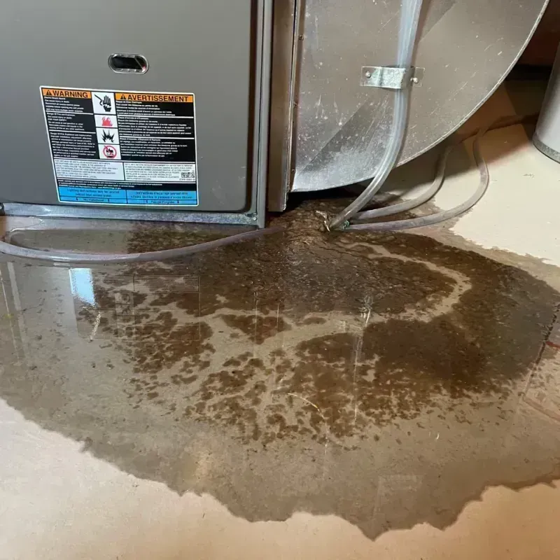 Appliance Leak Cleanup in Kirksville, MO